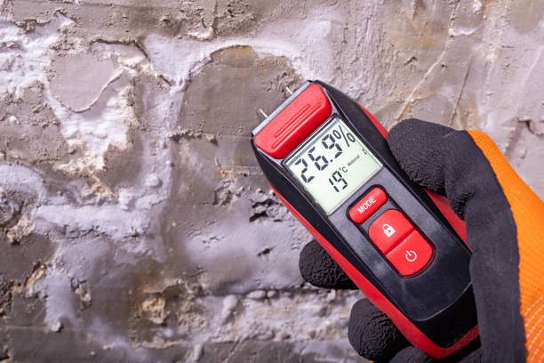 Lakeview, CA Mold Remediation Company